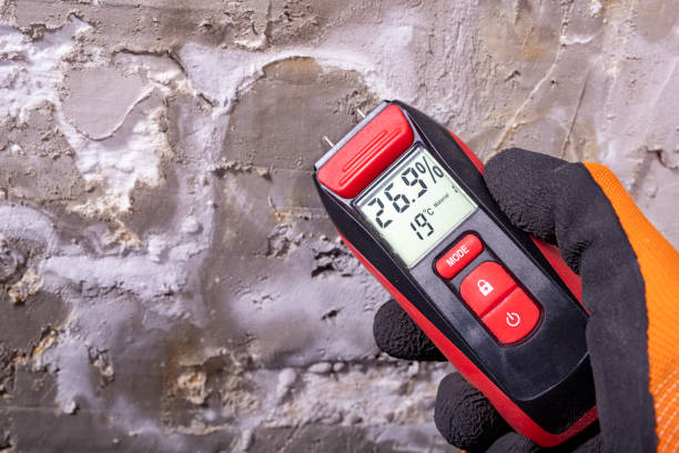 Best Emergency Mold Removal  in Kansas City, MO