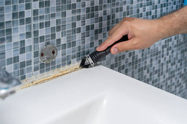 Best Mold Remediation  in Kansas City, MO